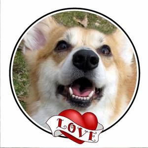 Meet your Posher, Cathy